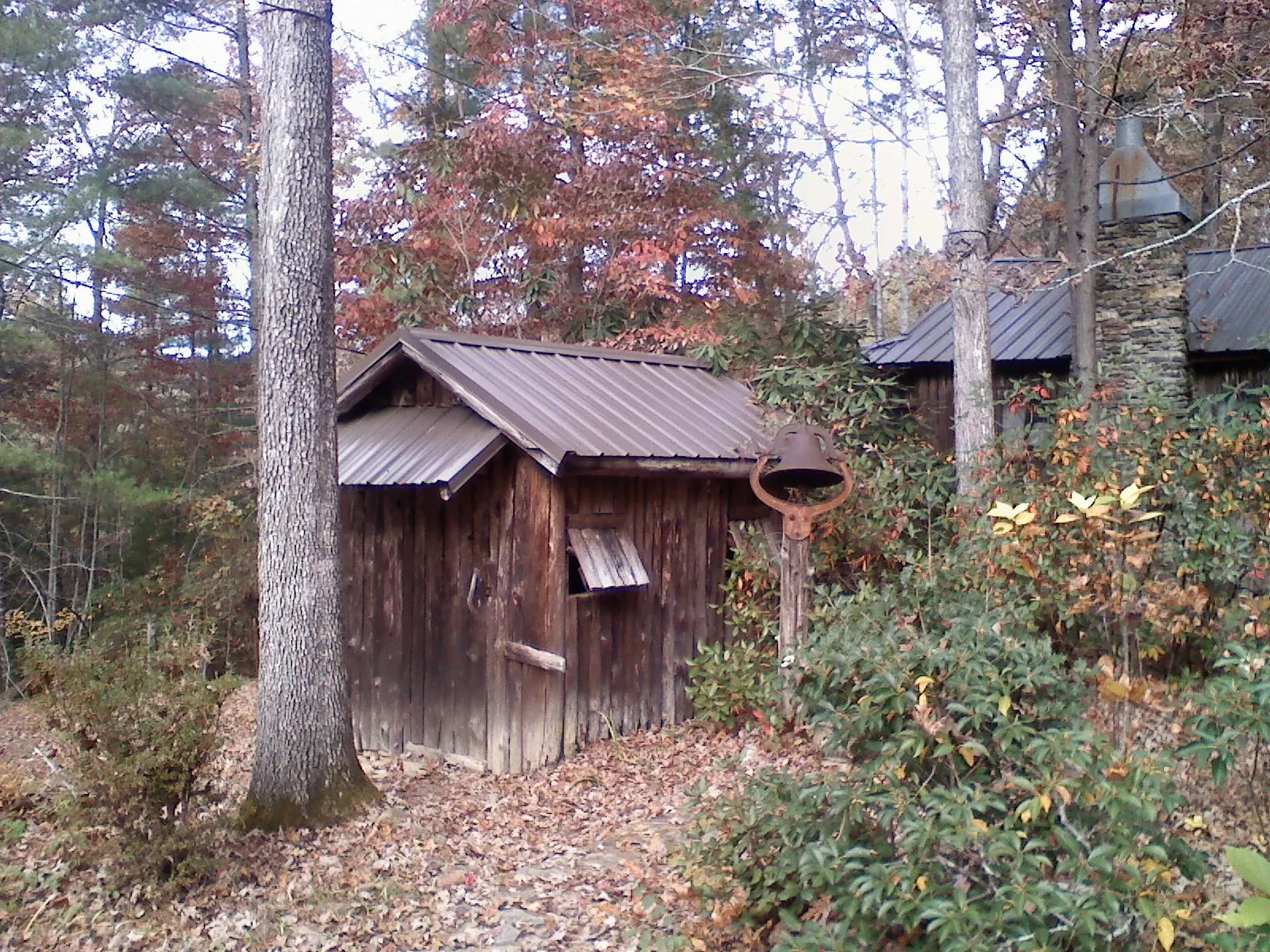 Small metal roof on a rough sawn shed in the woods in Medina